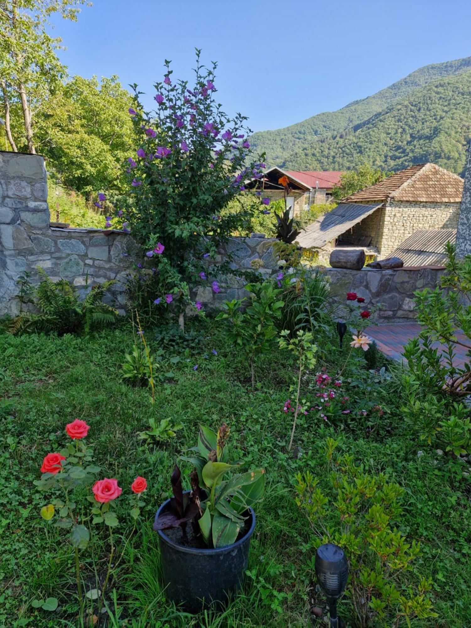 Ananuri Veranda- Hotel Guest House Kültér fotó